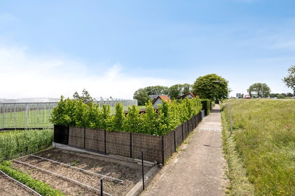 Medium property photo - Maasdijk 185, 2691 PE 's-Gravenzande